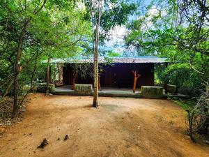 a house in the middle of a forest with trees at Clay Hut by Ever Green Eco Resort in Wilpattu