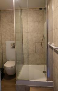 a shower in a bathroom with a toilet at Nieuw Strand in Petten
