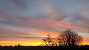 a sunset in a field with trees in the foreground at Ferienhaus Swanen Hus in Nordstrand +48 photos