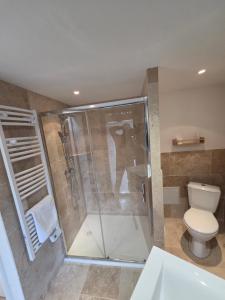 a bathroom with a shower and a toilet at La chambre d'hôtes de l'olivier Gîte A Coeur Vaillant in Vailhan +7 photos