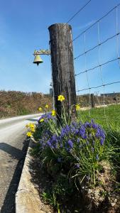 a fence with purple flowers on the side of a road at Lakeview farm in Castletown