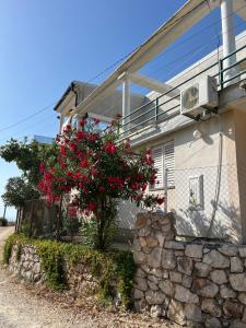 a house with a stone wall and a tree with red flowers at Apartments Nenadić in Utjeha