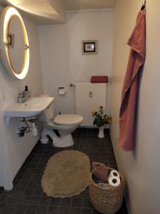 a bathroom with a toilet and a sink and a mirror at Gamle Præstegård, viceværtlejlighed in Årup +16 photos