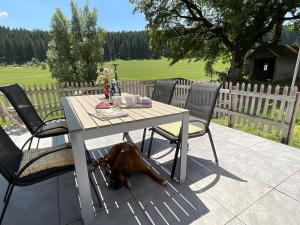 a dog sleeping under a table and chairs at Danielenhof1701, Ferienwohnung Bruckbach in Breitnau