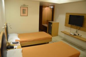 TV a/nebo společenská místnost v ubytování Hotel Yuvraj