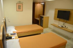 TV a/nebo společenská místnost v ubytování Hotel Yuvraj