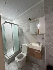 a bathroom with a toilet and a sink and a shower at Zona centro #N in Mar del Plata
