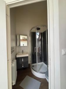 a bathroom with a shower and a sink at L'Aile de Fontainebleau in Fontainebleau +20 photos