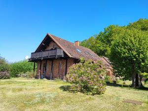 an old brick house in a field with a tree at Forsthaus Stagnieß in Ueckeritz