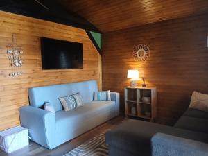 a living room with a blue couch and a television at Popa Cabana in Sibiu