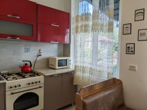 a kitchen with a stove and a microwave at Tomas Guesthouse in Lagodekhi