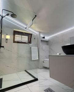 a white bathroom with a shower and a sink at Kadena Apartments in Kotor +99 photos