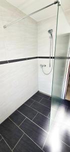 a shower with a glass door in a bathroom at Ferienwohnung Rütschlin in Nollingen +4 photos