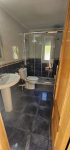 a bathroom with a toilet and a sink and a shower at BIZIA Vida Apartamento 5 in Sopuerta