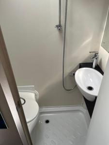 a small bathroom with a toilet and a sink at Camping pod in Greatham