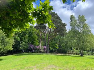 a field of grass with trees and purple flowers at Camping pod in Greatham +38 photos