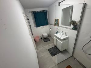 a bathroom with a sink and a toilet and a mirror at Schöne Wohnung mit eigenem Eingang Souterrain in Walldorf +5 photos