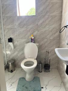 a bathroom with a toilet and a sink at Sedudu Turn Cottages in Maun +4 photos