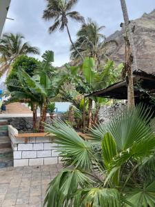 a resort with palm trees and the ocean in the background at Divin'Art in Tarrafal da Vila de Ribeira Grande