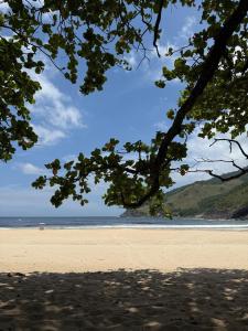 a view of a beach with a tree at Chalé com vista na vila centro histórico in Ilhabela +26 photos