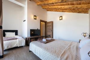 a bedroom with two beds and a television in it at VILA K3 Podgorica in Podgorica +16 photos