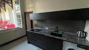 a kitchen with a sink and a washing machine at Le Chanoine - Centre Ville - Sens in Sens +9 photos