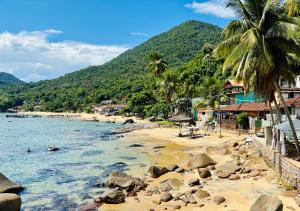 a sandy beach with palm trees and the ocean at Pousada Gabriel in Praia de Araçatiba