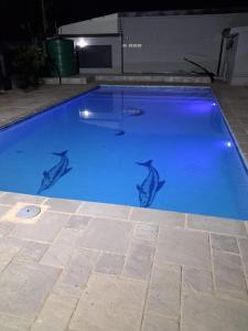 a swimming pool with dolphins painted on it at The Corner Guesthouse in Pietermaritzburg