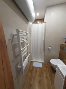 a bathroom with a toilet and a shower curtain at Apartamenty Tarcal in Tarcal
