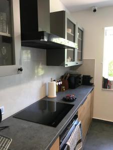 a kitchen with a black counter top and black cabinets at Apartamenty Tarcal in Tarcal