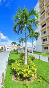 a palm tree and flowers in a park next to a building at Aruana Azul 502 - Apto com AR, PISCINA, Varanda Integrada - Aluguel por Temporada in Aracaju