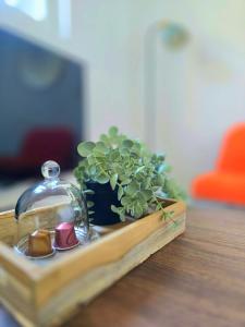 a wooden tray with a clock and a potted plant at La Tour d'Harfleur 2 in Caudebec-en-Caux