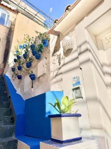 a group of potted plants on a wall at Marilù vacation home in Positano in Positano