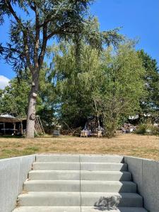 a set of concrete steps in front of a tree at A l'ombre du cèdre in Grez-Doiceau