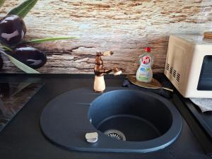 a sink with a faucet next to a microwave at ruhiger als im Hotel keine andere Gäste 3 Betten 2 Schlafzimmer in Merkendorf