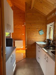 a kitchen with white cabinets and a wooden wall at Trzy Domki Wysowa in Wysowa-Zdrój