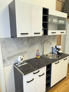 a kitchen with white cabinets and a sink at Apartament Modern Herne 3 in Herne +3 photos