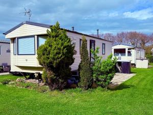 a tiny house in a yard with two trees at The Conwy Escape in Conwy