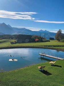 a dock on a lake with ducks in the water at Oberschlichterhof in Longostagno