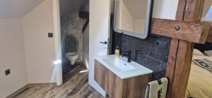 a bathroom with a sink and a toilet at URBAN APARTHOTEL Medias in Mediaş