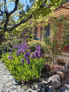 a garden with purple flowers in front of a house at la Farigoulette in Lorgues
