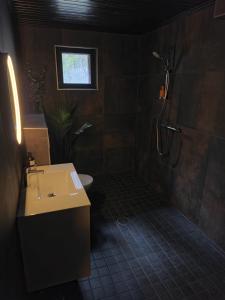 a bathroom with a shower and a sink and a toilet at Villa Marcie in Kuopio +15 photos