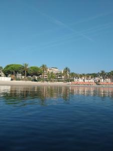 a view of a beach with palm trees and the water at Hôtel de charme CECIL in Juan-les-Pins
