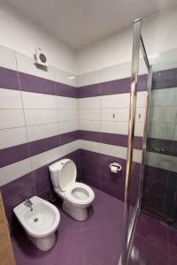 a bathroom with a toilet and a sink at Aldi APARTMENTS in Lezhë