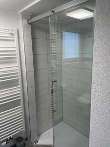 a shower with a glass door in a bathroom at Bo's 3Eins in Schwäbisch Hall