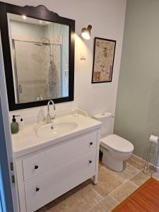 a bathroom with a sink and a toilet at Le Moulin du Bourg in Épeigné-les-Bois +36 photos