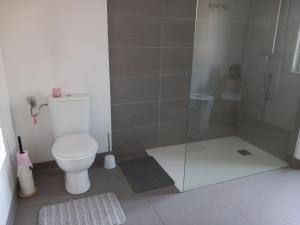 a bathroom with a toilet and a glass shower at A la ferme chez Christian in Escaudoeuvres +11 photos