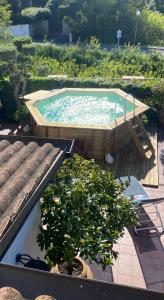 a swimming pool with a potted tree in a garden at La Casa di SASI in Sabaudia