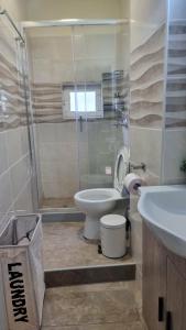 a bathroom with a shower and a toilet and a sink at Julieta's house in Chios