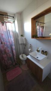 a bathroom with a sink and a toilet and a shower at Villa Ruscello in Grabovac